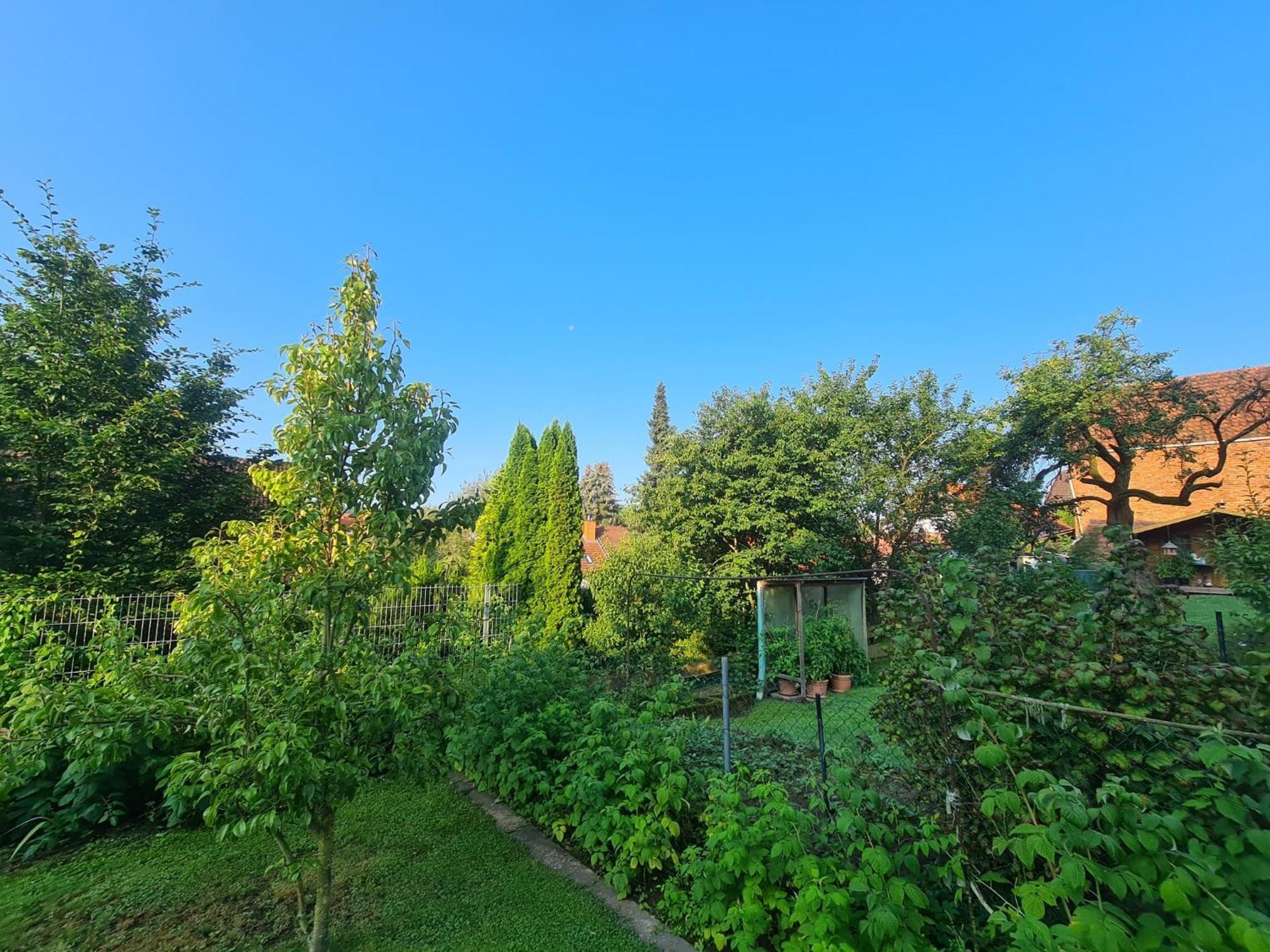 Suedharzperle Apartment Bad Lauterberg Exterior foto