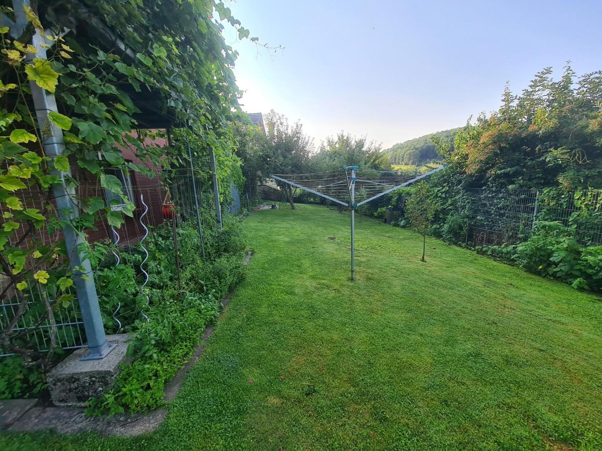 Suedharzperle Apartment Bad Lauterberg Exterior foto